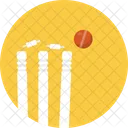 Wicket Ball Bails Icon