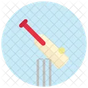 Cricket Ball Bet Icon