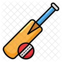 Cricket Bat And Ball Cricket Game Icon
