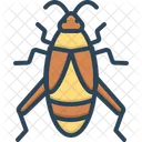 Cricket Bug Creepy Icon