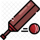 Cricket Cricket Bat Cricket Ball Icon