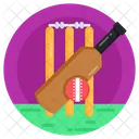 Cricket Equipment Sports Game Icon