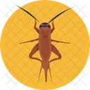 Insects And Bugs Cricket Insect Icon