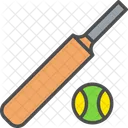 Cricket Ball Bat Icon