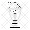 Cricket Award  Icon