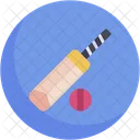 Cricket Bat Cricket Cricket Ball Icône
