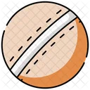 Cricket bat  Icon