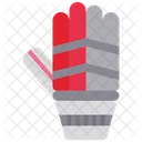 Cricket Gloves  Icon