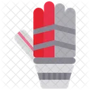Cricket Gloves Cricket Batting Gloves Batting Gloves Icon