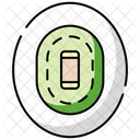 Cricket Ground Icon