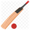 Cricket Ball Bat Icon