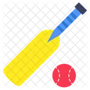 Cricket Bat Ball Sports Tools Icon