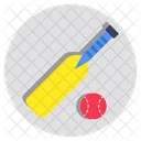 Cricket Bat Ball Sports Tools Icon