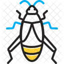 Cricket Bug Creepy Icon