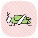 Cricket Insect Chirping Icon