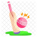 Cricket  Icon
