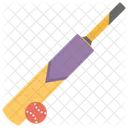 Bat Ball Cricket Equipment Cricket Tool Icon