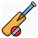 Cricket Bat And Ball Cricket Game Icon
