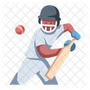 Icricket Sport Cricket Cricket Game Icon