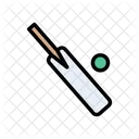 Cricket Bat Ball Icon