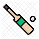 Cricket Bat Ball Icon