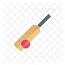 Cricket Hardball Sport Icon
