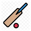 Cricket Bat Ball Icon