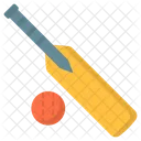 Cricket Play Winner Icon