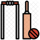 Cricket  Icon