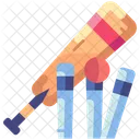 Cricket  Icon