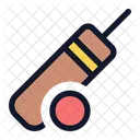 Co Cricket Sports Icon