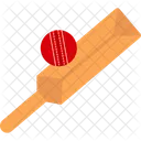 Cricket Ball Bat Icon