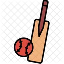 Cricket Bat Ball Icon