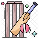 Cricket  Icon