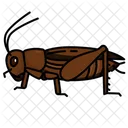 Insect Insects Entomology Icon