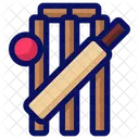 Cricket Cricket Bat Bat Icon