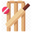 Cricket Cricket Bat Bat Icon