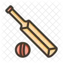 Cricket Kit Sports Icon