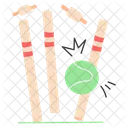 Cricket Wickets Stumps Icon