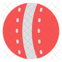 Cricketball Lederball Harter Ball Symbol