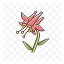 Crimson Columbine  Icon