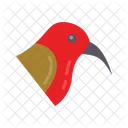 Crimson Sunbird  Icon