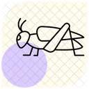 Grillo Insecto Chirrido Icono