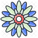 Crisantemo Flor Flor Ícone