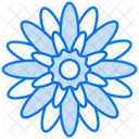 Crisântemo  Ícone