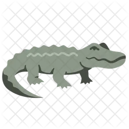 Crocodile  Icon