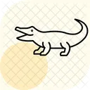 Crocodile Reptile Ecailleux Icône