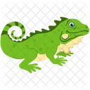 Crocodile Large Reptile Icon