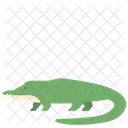 Crocodile Animal Creature Icon