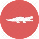 Crocodile Creature Predator Icon